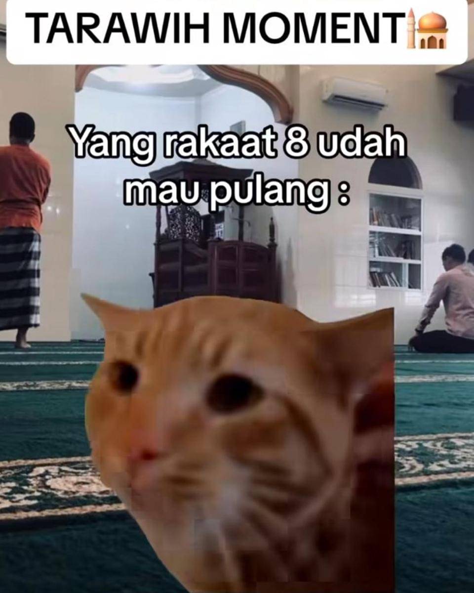 Instagram.com/memekucingofficial